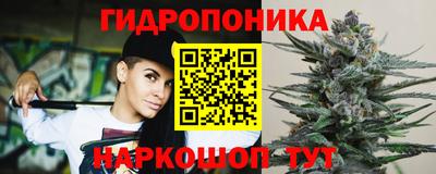spice Лесной