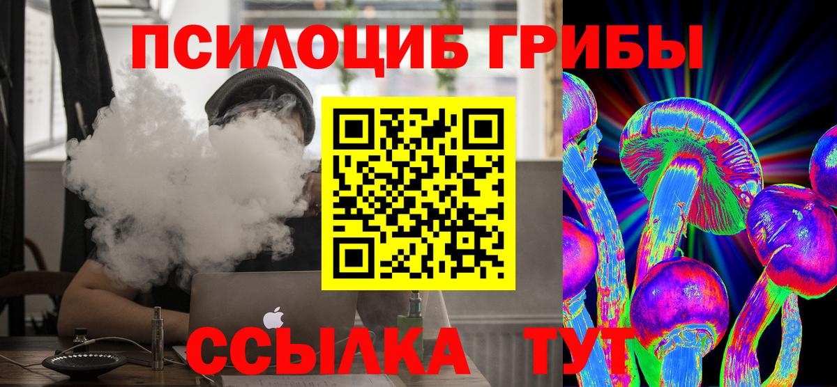 Галлюциногенные грибы Magic Shrooms Нижний Новгород