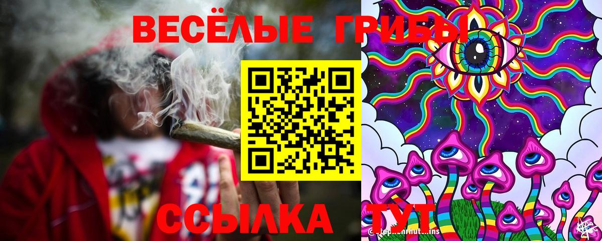 Нижний Новгород  Галлюциногенные грибы Psilocybe  Вход с VPN  Галлюциногенные грибы Magic Shrooms 